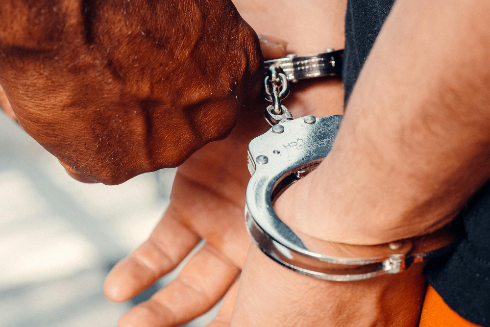 felony charge professional license ohio